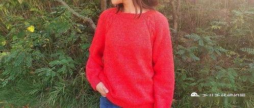 成人的毛衣视频播放,跟随视频轻松掌握毛衣编织技巧