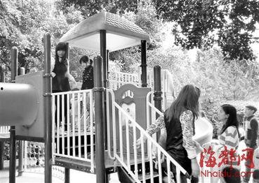 滑梯成人打架视频真实,成人暴力事件引发社会关注