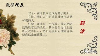 成人读论语视频教学,成人学习经典智慧的新途径