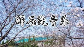 爵士芒种视频成人,探寻音乐与人生的交响乐章