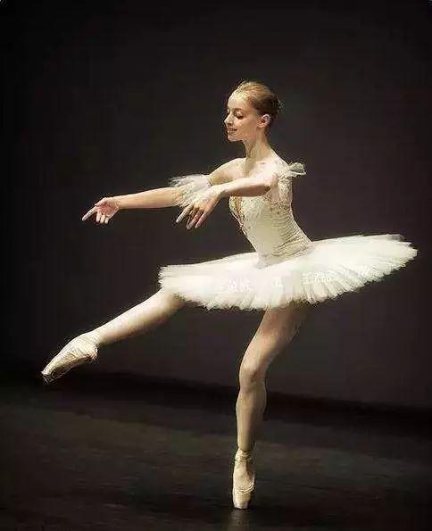 成人舞姿技巧组合视频大全,成人舞姿技巧组合视频大全精选解析