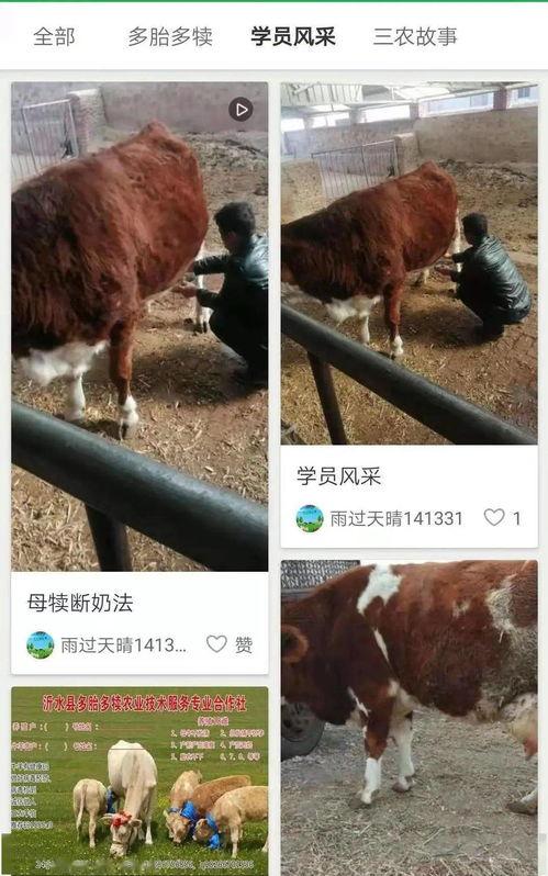 牛牛变成人的视频,奇幻穿越之旅的视觉奇观