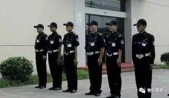 成人保镖训练视频大全集,成人保镖训练视频大全集精华解析