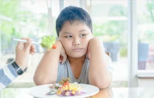 给挑食的成人做饭视频,轻松应对挑食难题，美味佳肴轻松上桌