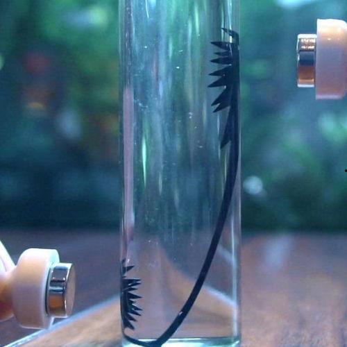 成人解压透明玩具视频