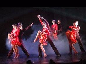 面纱成人舞蹈视频教学,优雅舞步，释放魅力