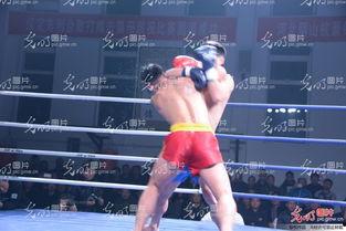 成人女孩散打搏击视频