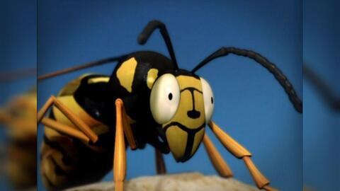 科普成人打虫视频大全集,轻松了解常见寄生虫防治知识